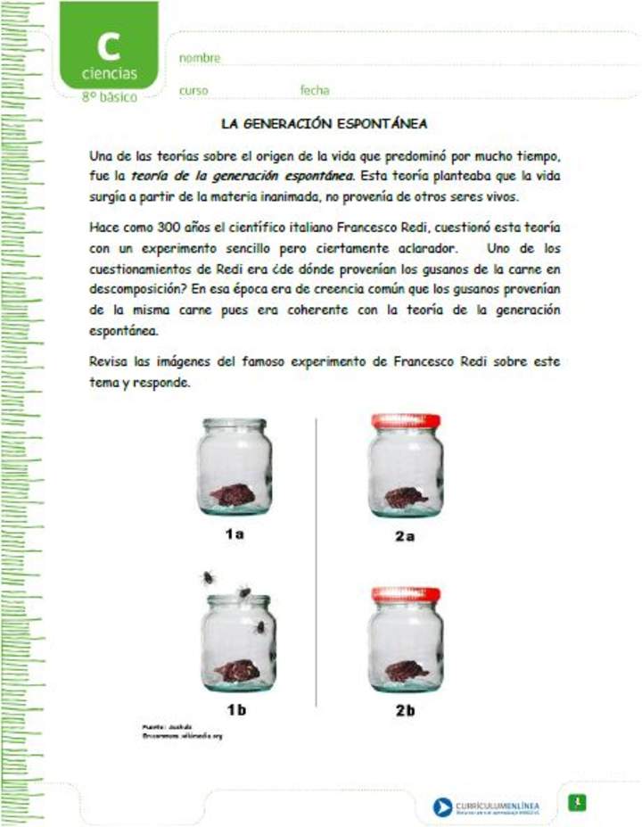 Experimento de Redi Experimento de Redi