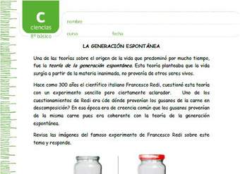 Experimento de Redi Experimento de Redi