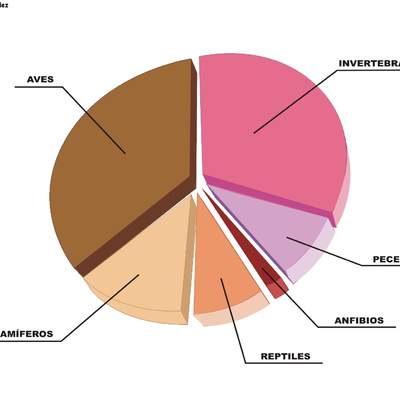 Grupos de animales en peligro de extinción en España Grupos de animales en peligro de extinción en España