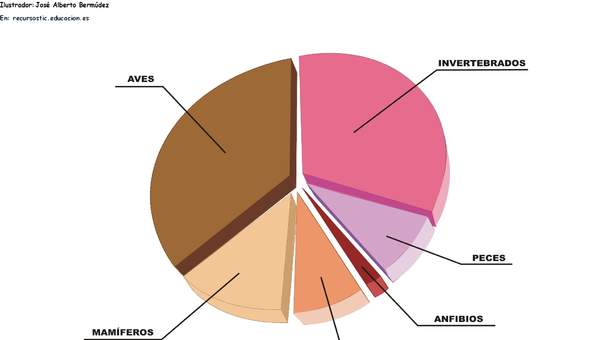 Grupos de animales en peligro de extinción en España Grupos de animales en peligro de extinción en España