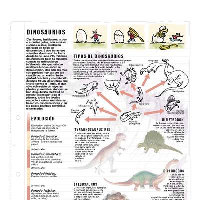 Tipos de dinosaurios Tipos de dinosaurios