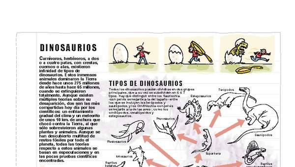 Tipos de dinosaurios Tipos de dinosaurios