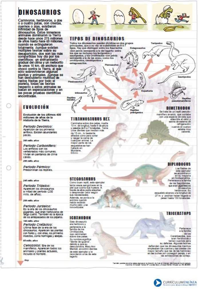 Tipos de dinosaurios Tipos de dinosaurios