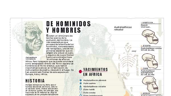 Historia de homínidos y hombres Historia de homínidos y hombres