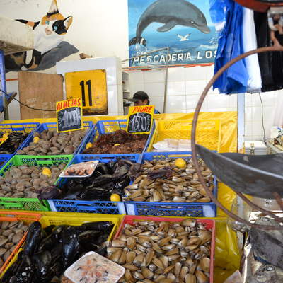 Caleta con mariscos a la venta Caleta con mariscos a la venta