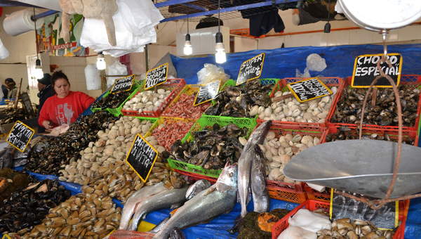 Caleta con pescado a la venta Caleta con pescado a la venta