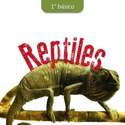 Reptiles Reptiles