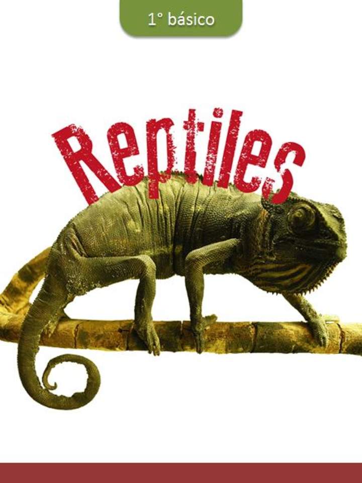Reptiles Reptiles