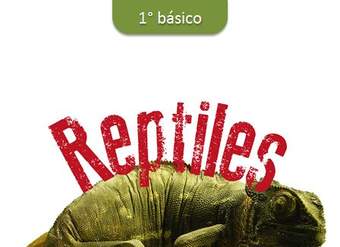 Reptiles Reptiles