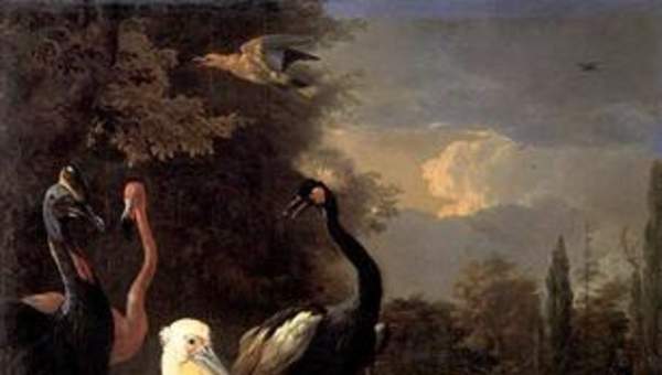 La pluma flotante de Melchior D'hondecoeter La pluma flotante de Melchior D'hondecoeter