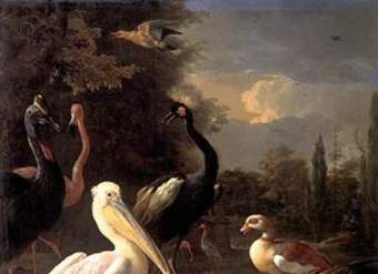 La pluma flotante de Melchior D'hondecoeter La pluma flotante de Melchior D'hondecoeter