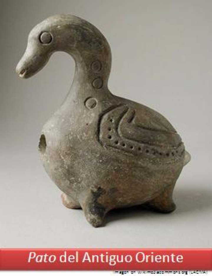 Pato del antiguo oriente Pato del antiguo oriente