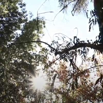 Video de Actividad sugerida: LC03 - Diaguita: Indagan sobre celebraciones y festividades que se celebran en el territorio, y comentan sobre su significado cultural. Video de Actividad sugerida: LC03 - Diaguita: Indagan sobre celebraciones y festividades que se celebran en el territorio, y comentan sobre su significado cultural.