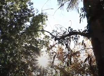 Video de Actividad sugerida: LC03 - Diaguita: Indagan sobre celebraciones y festividades que se celebran en el territorio, y comentan sobre su significado cultural. Video de Actividad sugerida: LC03 - Diaguita: Indagan sobre celebraciones y festividades que se celebran en el territorio, y comentan sobre su significado cultural.