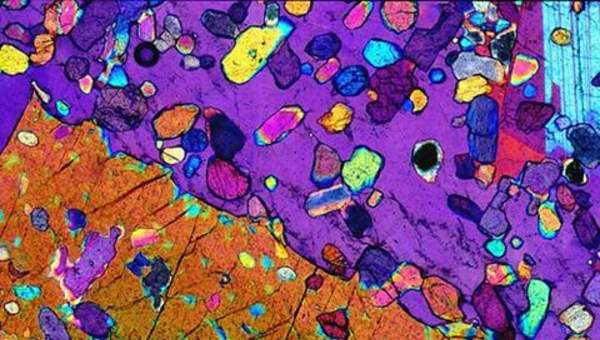 Imagen microscópica 2 Imagen microscópica 2