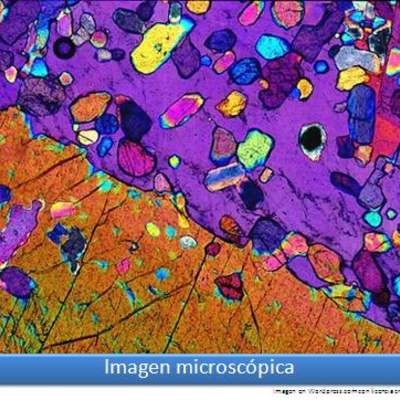 Imagen microscópica 2 Imagen microscópica 2