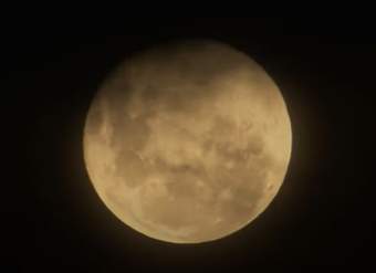 Video de Actividad sugerida: LC03 - kawésqar: Experimentan con sonidos e imágenes propias del pueblo kawésqar que dan cuenta de su relación con la naturaleza. Video de Actividad sugerida: LC03 - kawésqar: Experimentan con sonidos e imágenes propias del pueblo kawésqar que dan cuenta de su relación con la naturaleza.