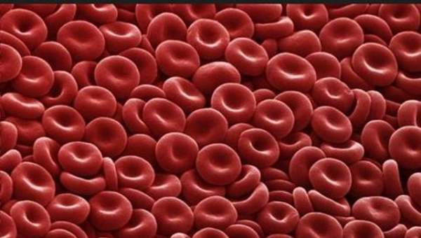 Imagen microscópica 6 Imagen microscópica 6