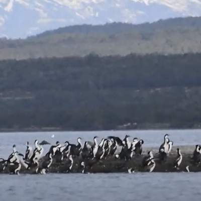 Video de Actividad sugerida: LC03.3 - kawésqar: Experimentan con sonidos e imágenes propias del pueblo kawésqar que dan cuenta de su relación con la naturaleza. Video de Actividad sugerida: LC03.3 - kawésqar: Experimentan con sonidos e imágenes propias del pueblo kawésqar que dan cuenta de su relación con la naturaleza.