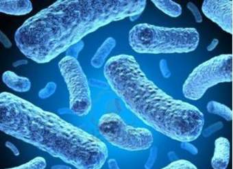 Imagen microscópica 8 Imagen microscópica 8