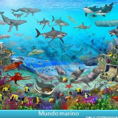 Mundo marino 1 Mundo marino 1