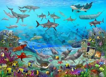 Mundo marino 1 Mundo marino 1