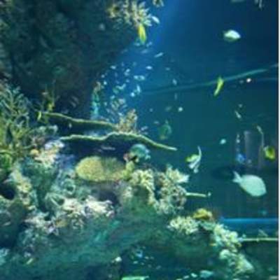 Mundo marino 2 Mundo marino 2