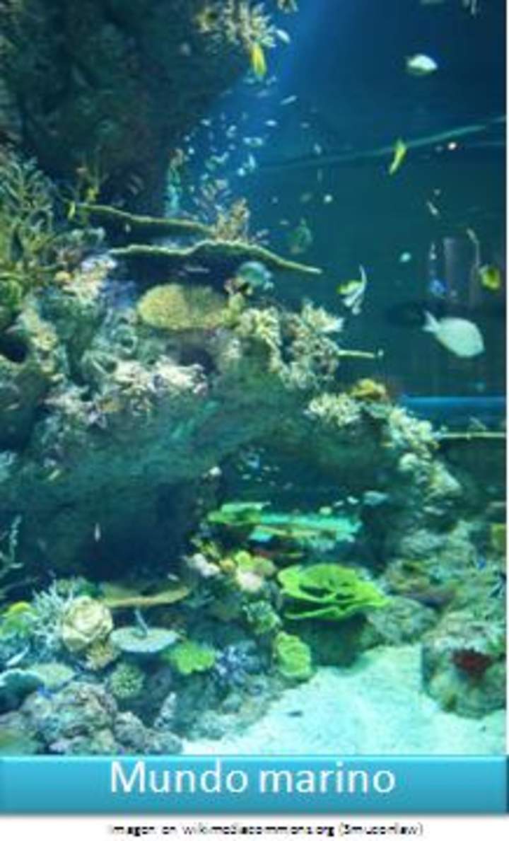 Mundo marino 2 Mundo marino 2