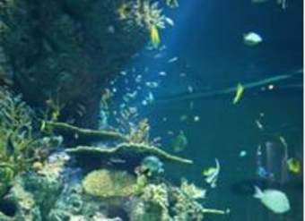 Mundo marino 2 Mundo marino 2