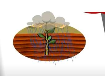 Video de Actividad sugerida: LC03 - Interculturalidad: Reflexionan y comentan la importancia del agua para el pueblo Aymara y para su propio pueblo Video de Actividad sugerida: LC03 - Interculturalidad: Reflexionan y comentan la importancia del agua para el pueblo Aymara y para su propio pueblo