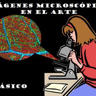 Imágenes microscópicas Imágenes microscópicas