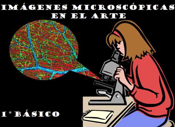 Imágenes microscópicas Imágenes microscópicas