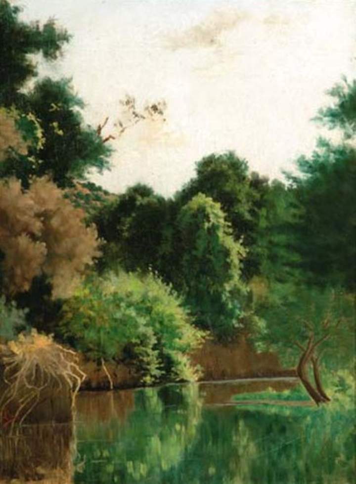 Estero Manso de Pedro Lira Estero Manso de Pedro Lira