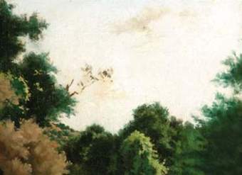 Estero Manso de Pedro Lira Estero Manso de Pedro Lira