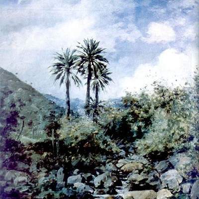 Palmas de Ocoa de Onofre Jarpa Palmas de Ocoa de Onofre Jarpa