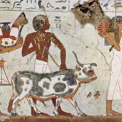 Pintura en la cámara funeraria de Amenemht Pintura en la cámara funeraria de Amenemht