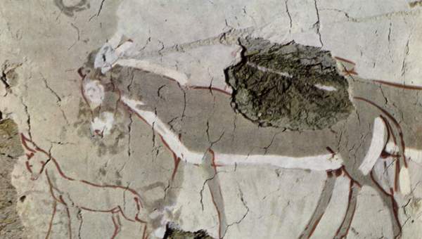 Imagen de burros en mural egipcio Imagen de burros en mural egipcio