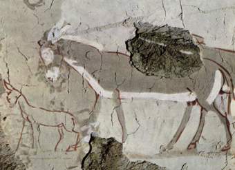 Imagen de burros en mural egipcio Imagen de burros en mural egipcio