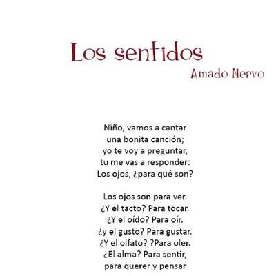 Los sentidos Los sentidos