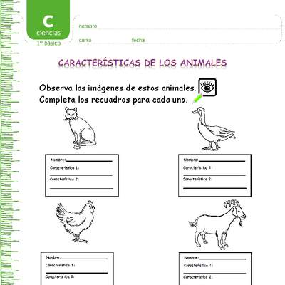 Características de los animales Características de los animales