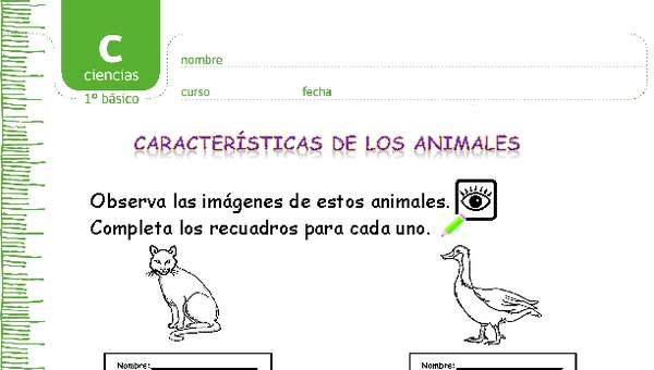 Características de los animales Características de los animales