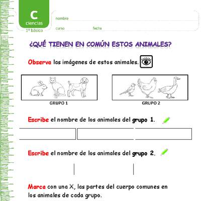 ¿Qué tienen en común estos animales? ¿Qué tienen en común estos animales?