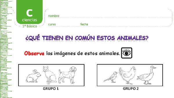 ¿Qué tienen en común estos animales? ¿Qué tienen en común estos animales?