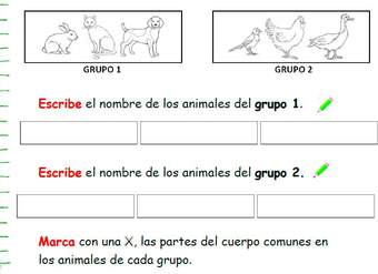¿Qué tienen en común estos animales? ¿Qué tienen en común estos animales?