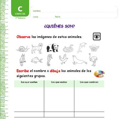 ¿Quiénes son? ¿Quiénes son?