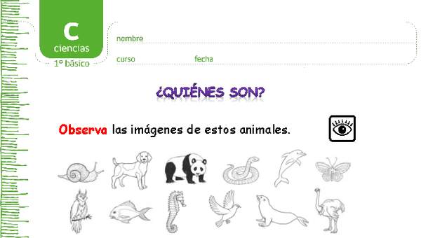 ¿Quiénes son? ¿Quiénes son?