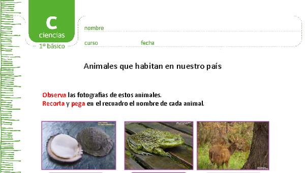 Animales que habitan en nuestro país Animales que habitan en nuestro país