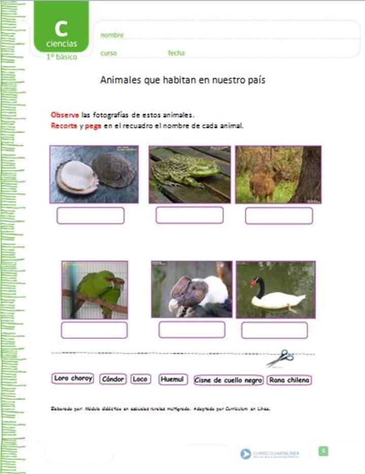 Animales que habitan en nuestro país Animales que habitan en nuestro país