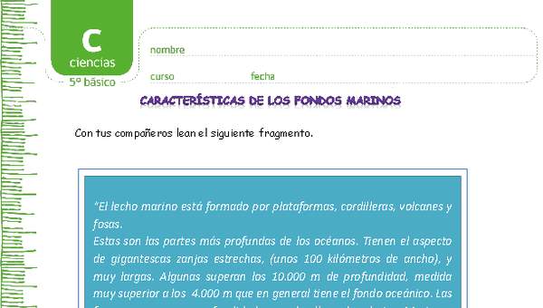 Características del fondo marino Características del fondo marino