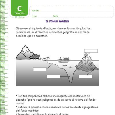 El fondo marino El fondo marino